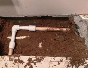 安阳测漏水哪家好