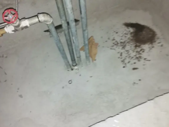 安阳卫生间测漏水价格明细